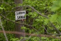 Survival Skills Sign in a Forest Royalty Free Stock Photo