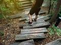 Survival travel trip of man, He walking forest path in autumn and Lifestyle hiking concept. Royalty Free Stock Photo