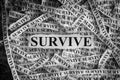 Survive. Torn pieces of paper with the word Survive
