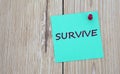 SURVIVE - word written on a green sheet for notes, which is pinned to a light wooden board