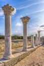 Surviving columns of Basilica in Chersonesos in the Crimea.