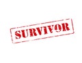 Survivor Royalty Free Stock Photo