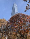 Survivor Tree at the 911 Memorial New York