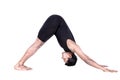 Surya namaskar dog pose