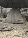 Stupa in surya pahar the historical site of gaolpara, assam in india