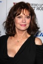 Susan Sarandon Royalty Free Stock Photo