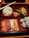 Sushi bento fresh gyoza rice colorful