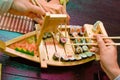 Sushi boat hands Royalty Free Stock Photo