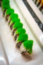 Sushi Buffet Platter Royalty Free Stock Photo