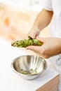 Sushi chef grating fresh Wasabi, Fresh wasabi root prepare for n Royalty Free Stock Photo