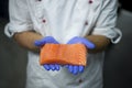 Piece of fresh raw salmon fillet in chef`s hands in protective gloves