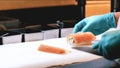 Sushi Chef Slices fresh Salmon on the sushi bar, Chef cutting salmon fillet at professional kitchen Royalty Free Stock Photo