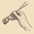Sushi and chopsticks sketch. Asian food sketch vintage vector illustration