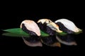 Sushi cooked from black rice Royalty Free Stock Photo