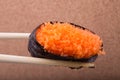Sushi, Ebiko, shrimp eggs, Tamagoyaki, Ebiko, Ebi Nigiri Royalty Free Stock Photo