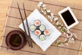 Sushi maki set with salmon and cucumber and green tea