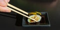 Sushi Plate, Fish Maki Rolls, Japan Seafood, Sushi Set, Asian Dinner, Tradition Nigiri Susi Royalty Free Stock Photo