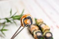 Sushi Roll with crunchy tempura shrimp, bamboo leaves and plant on background. Royalty Free Stock Photo