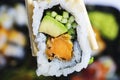 Sushi rolls holding by chopsticks. A traditional dish of Japanese cuisine. Royalty Free Stock Photo