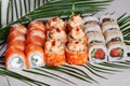 Sushi rolls set, appetizing, big, Philadelphia, salmon, masago, orange, hot, sauce, kimchi, sesame, smoked, cucumber, tropical, le Royalty Free Stock Photo