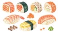 Sushi Rolls set isolated on a white background. Watercolor illustration of Japanese Food. Hand drawn nigiri maki clip Royalty Free Stock Photo