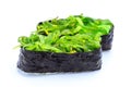 Sushi seaweed Royalty Free Stock Photo