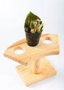 Sushi seaweed Royalty Free Stock Photo