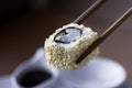 Sushi with sesame seeds and fish close-up