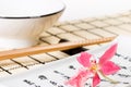 Sushi set and pink orchid flower Royalty Free Stock Photo