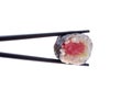 Sushi susi Royalty Free Stock Photo