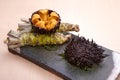 Sushi of tsuraku or sea urchin, a marine echinoderm that has a s Royalty Free Stock Photo