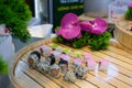 sushi on a wooden board Top view background with set of colorful different kinds of sushi rolls placed on wooden board Royalty Free Stock Photo