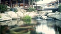 Sushi Koi Carp  Pond Long Exposure Wooden Bridge japanese style Royalty Free Stock Photo