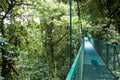 Suspended bridge above the forest Royalty Free Stock Photo