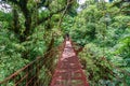 Suspended Bridge at Monteverde Cloud Forest, Costa Rica