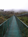 Suspended bridge in Monteverde, Costa Rica, on the middle of forest