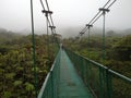 Suspended bridge in Monteverde, Costa Rica, on the middle of forest