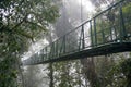 Suspended Bridge at Monteverde