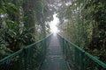 Suspended Bridge at Monteverde