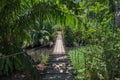 Suspended bridge at natural rainforest park, Drake Bay Costa Rica Royalty Free Stock Photo