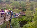 Suspended bridge in the Paiva wooden walkways