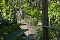 Suspended bridges at top of the trees in Parc Des Mamelles, Guadeloupe Zoo, in the middle of the rainforest on Chemin de la Royalty Free Stock Photo