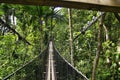 Suspended bridges at top of the trees in Parc Des Mamelles, Guadeloupe Zoo, in the middle of the rainforest on Chemin de la