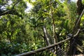 Suspended bridges at top of the trees in Parc Des Mamelles, Guadeloupe Zoo, in the middle of the rainforest on Chemin de la Royalty Free Stock Photo