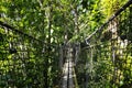 Suspended bridges at top of the trees in Parc Des Mamelles, Guadeloupe Zoo, in the middle of the rainforest on Chemin de la Royalty Free Stock Photo