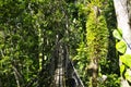 Suspended bridges at top of the trees in Parc Des Mamelles, Guadeloupe Zoo, in the middle of the rainforest on Chemin de la Royalty Free Stock Photo