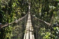 Suspended bridges at top of the trees in Parc Des Mamelles, Guadeloupe Zoo, in the middle of the rainforest on Chemin de la Royalty Free Stock Photo