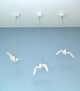 Suspended ceiling lamps in the form of white gulls