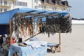 Suspended dried fish on market in the summer Royalty Free Stock Photo