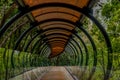 A suspended glass, wood and metal bridge in the forest